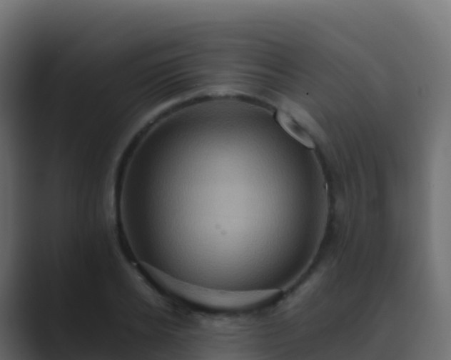 X0000089730934200706281546