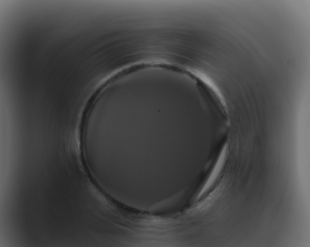 X0000089730935200706281546