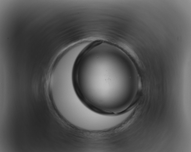 X0000089730936200706281546