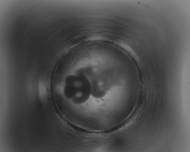X0000089730937200706281546