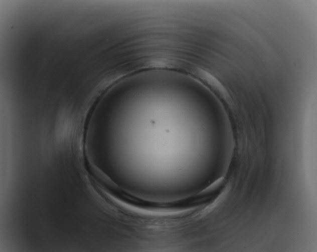 X0000089730938200706281546
