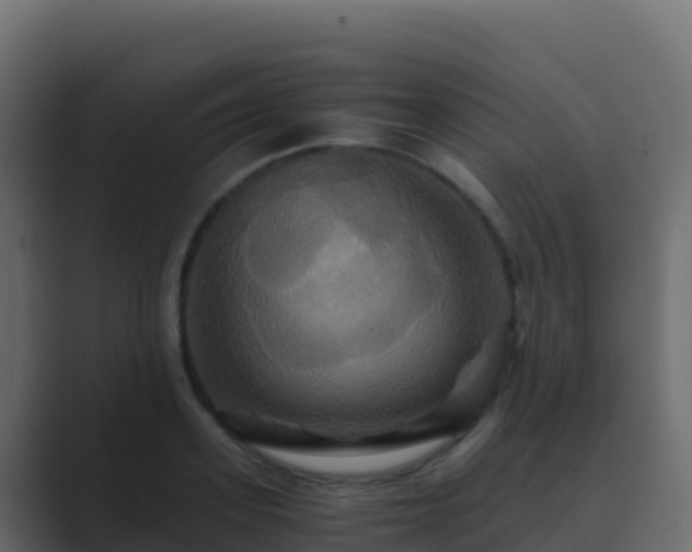 X0000089730939200706281546