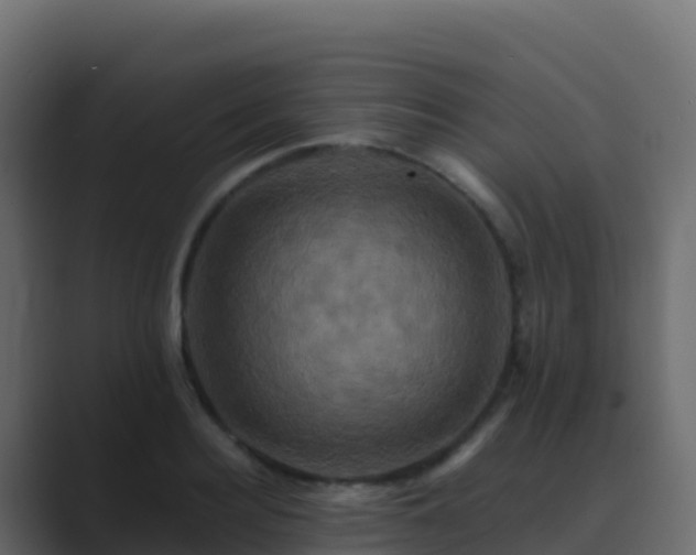 X0000089730940200706281546