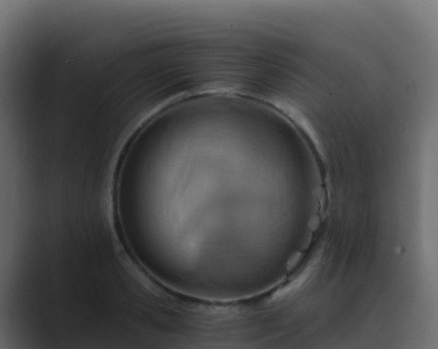 X0000089730941200706281546