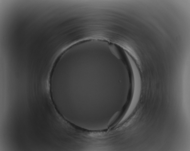 X0000089730944200706281546