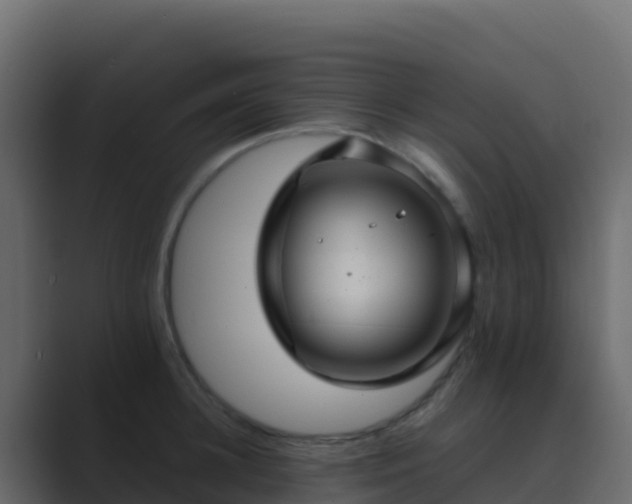 X0000089730948200706281547