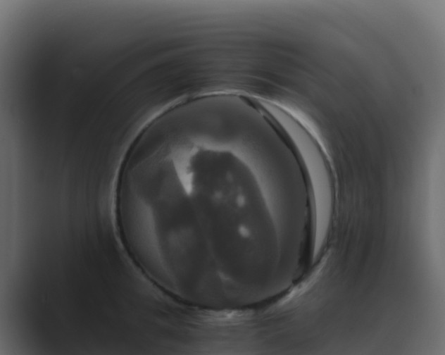 X0000089730949200706281547