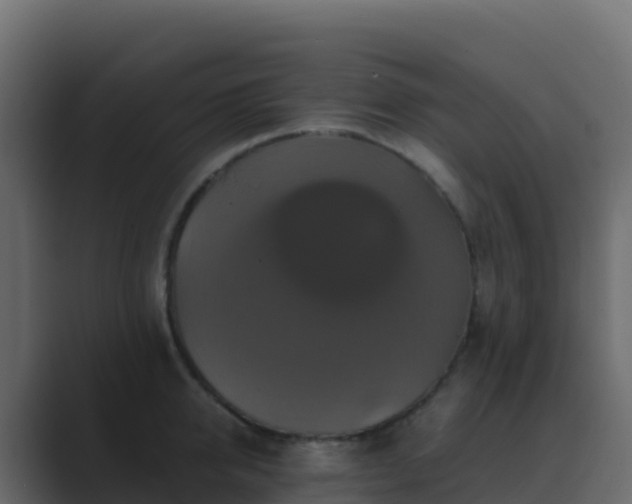 X0000089730950200706281547