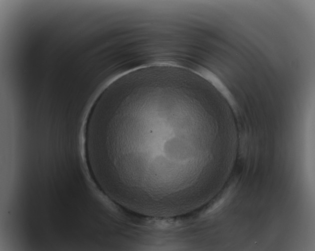 X0000089730955200706281547