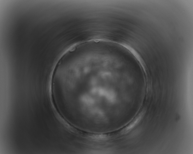 X0000089730957200706281547