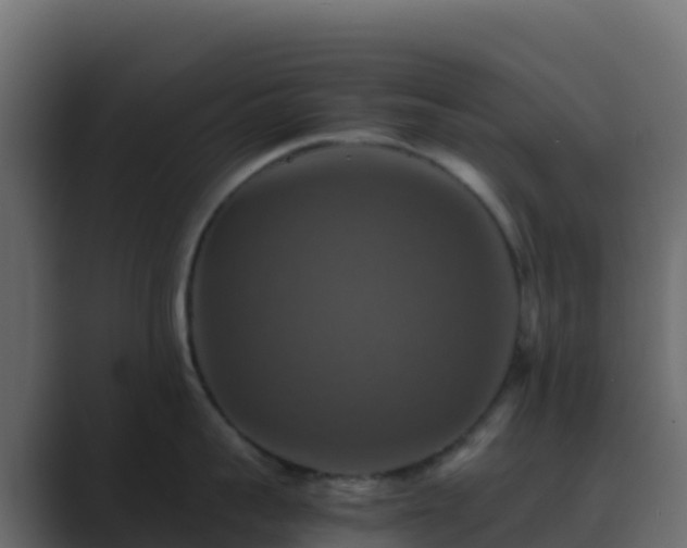 X0000089730959200706281547