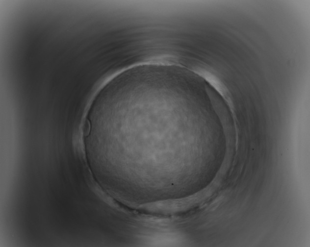 X0000089730960200706281547