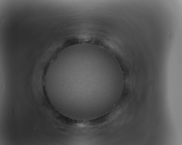 X0000089730961200706281546