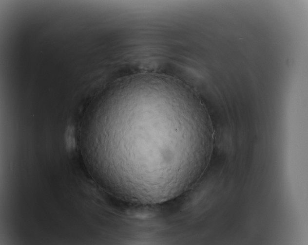 X0000089730962200706281546