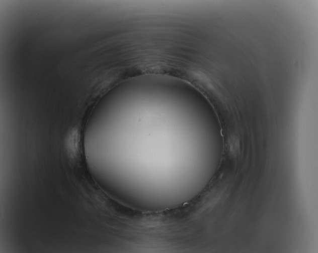 X0000089730964200706281546