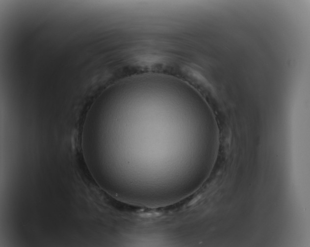 X0000089730965200706281546