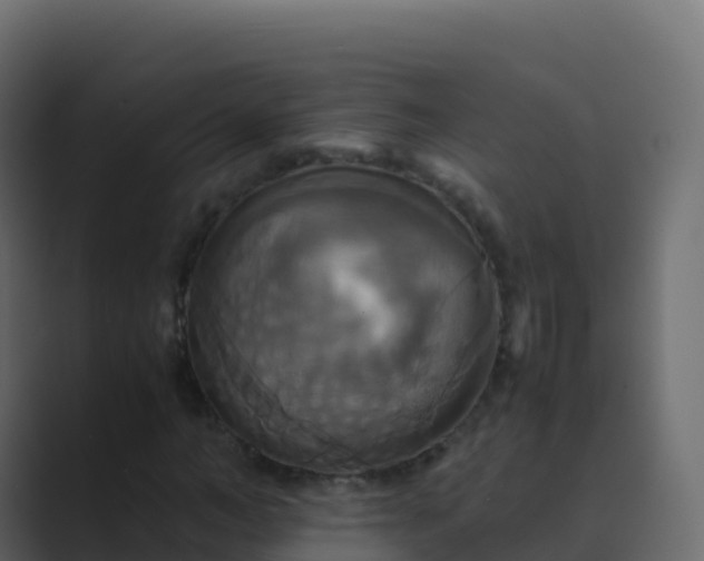X0000089730966200706281546