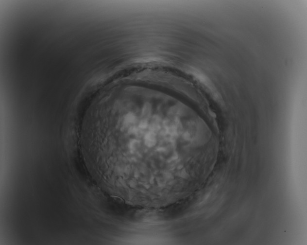 X0000089730967200706281546