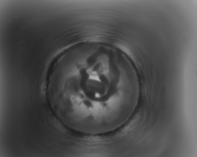 X0000089730971200706281546