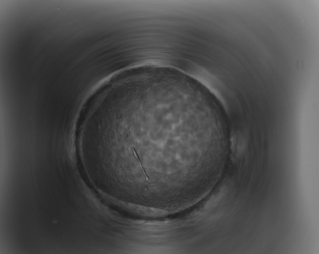X0000089730972200706281546