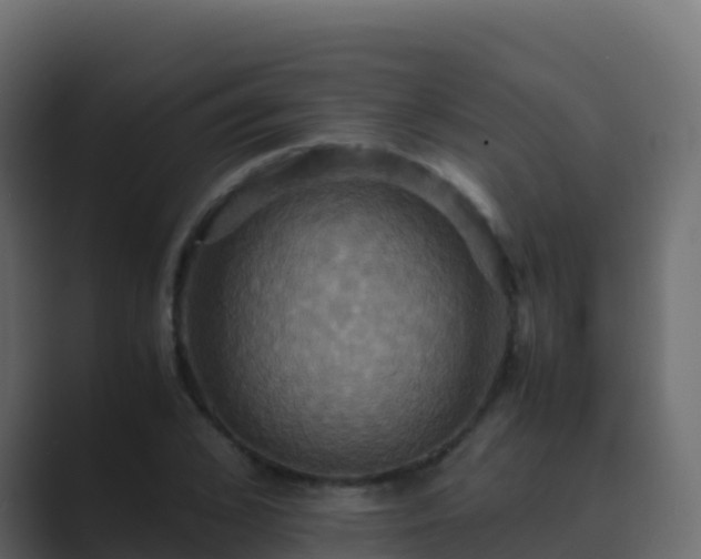 X0000089730976200706281546