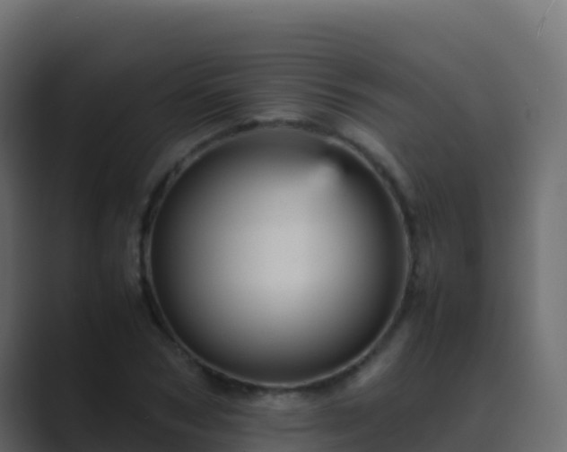 X0000089730978200706281546