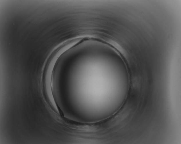 X0000089730980200706281546