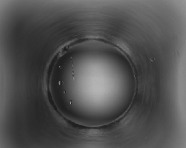 X0000089730984200706281546