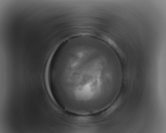 X0000089730985200706281546