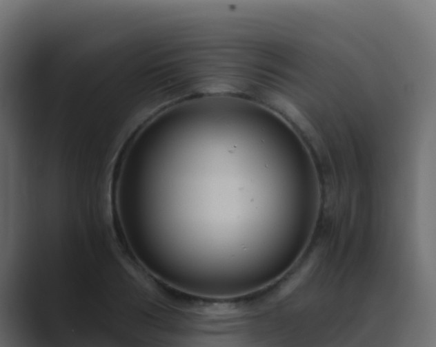 X0000089730986200706281546