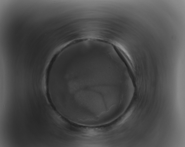 X0000089730987200706281546