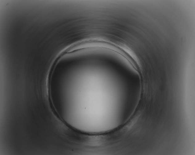 X0000089730988200706281546