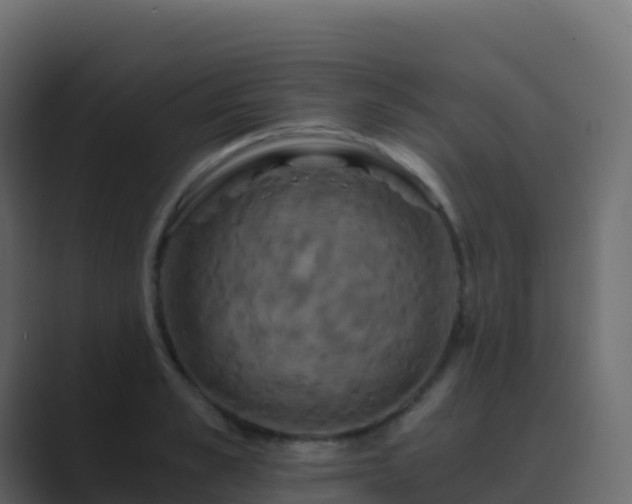 X0000089730989200706281546