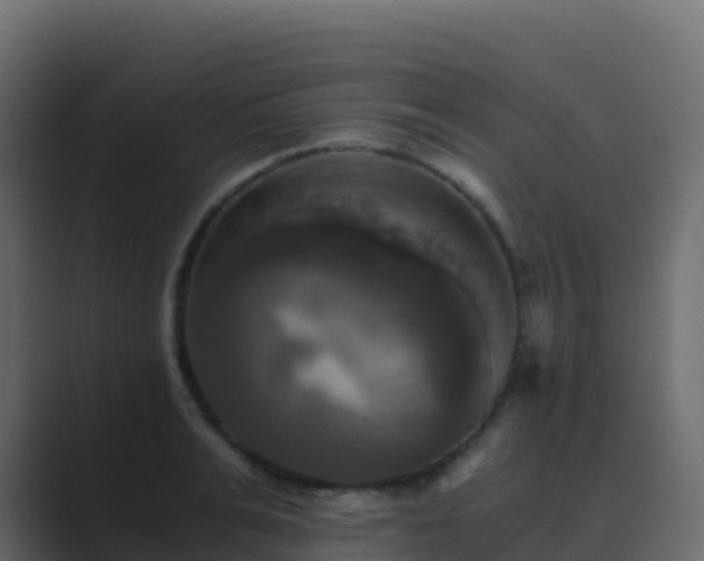X0000089730991200706281546