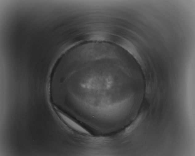X0000089730992200706281546