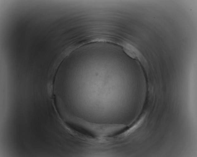 X0000089730993200706281546