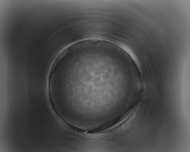 X0000089730996200706281546