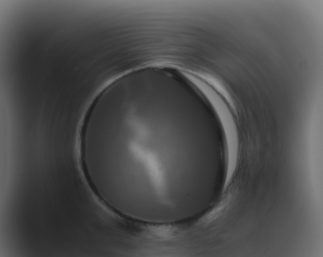 X0000089730999200706281546