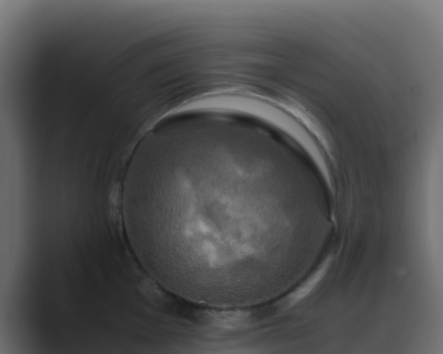 X0000089731001200706281546