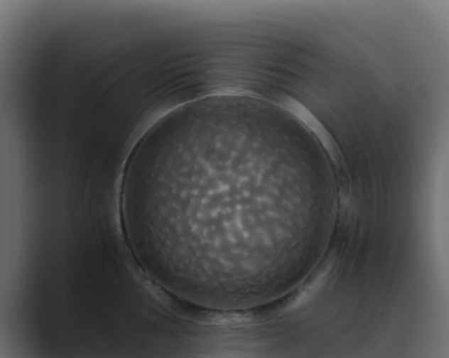 X0000089731002200706281546