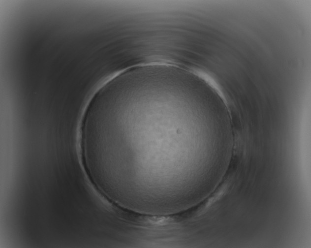 X0000089731003200706281546