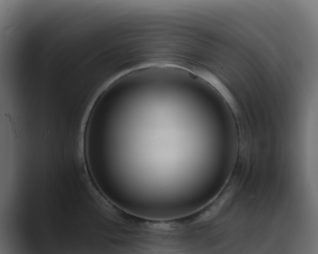 X0000089731004200706281546