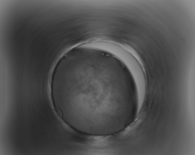 X0000089731005200706281546
