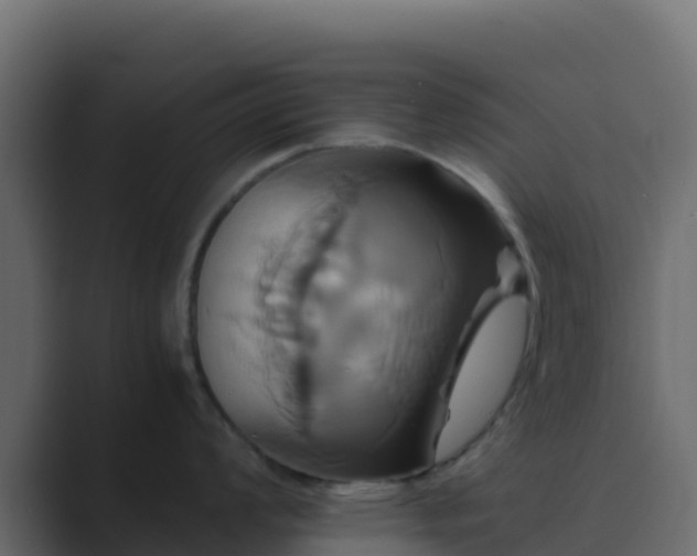 X0000089731008200706281546