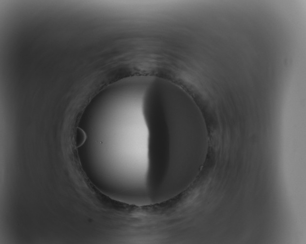 X0000089731009200706281545