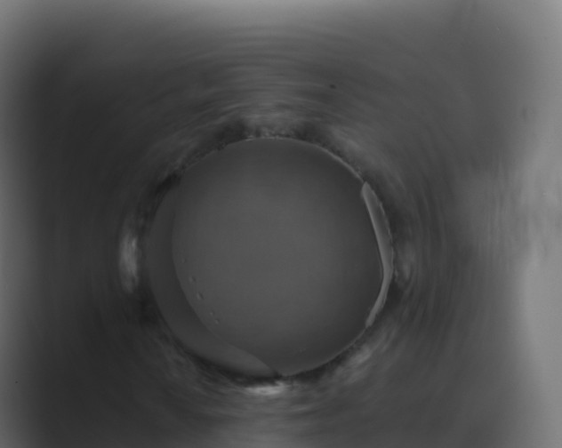 X0000089731010200706281545