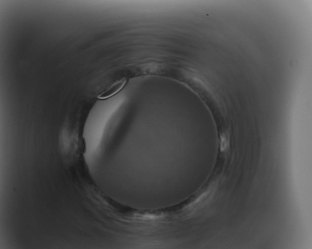 X0000089731011200706281545