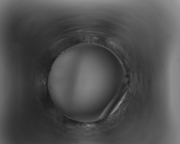 X0000089731013200706281545