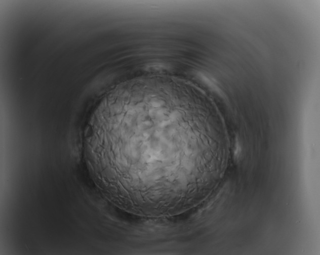 X0000089731015200706281545