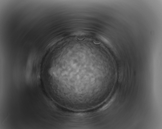 X0000089731017200706281545